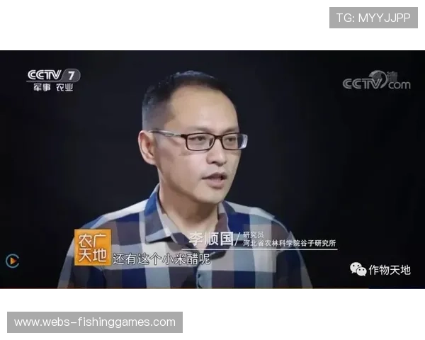 纪录片与纪实内容升温，深度挖掘体育背后人文故事